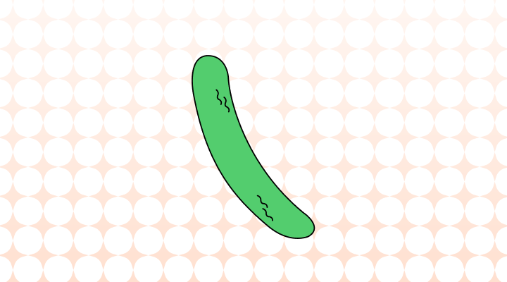 きゅうり英語で(Cucumber, Cuke 及び例文)