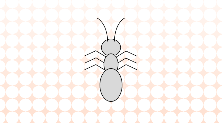 昆虫英語で(Insect, Bug 差異と意味)