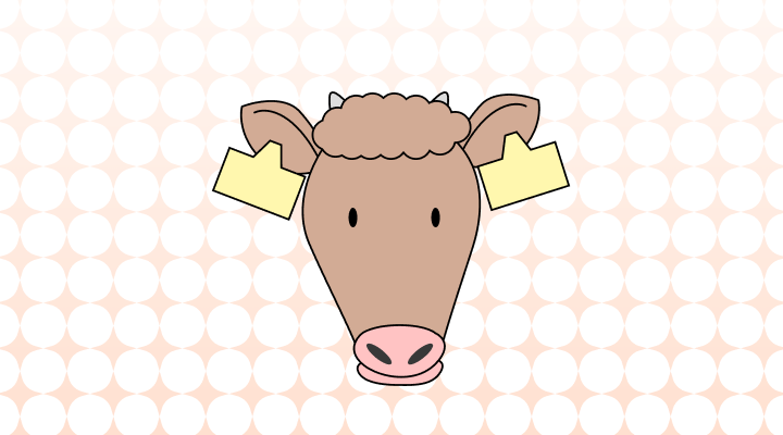 牛英語で(Cow, Bull, Cattle, Ox差異と意味)