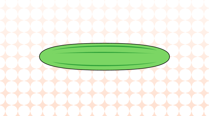 ズッキーニ英語で(Zucchini, Courgette差異と意味)