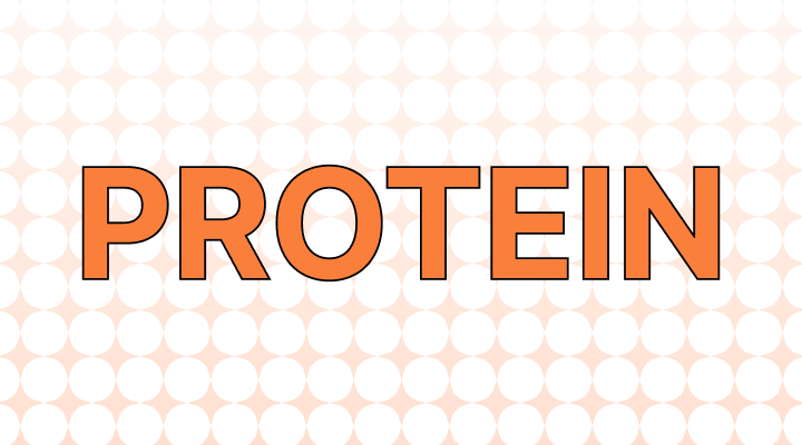 たんぱく質英語で(Protein及び例文)