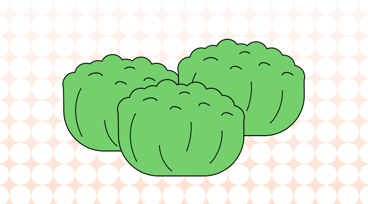 キャベツ英語で(Cabbage, Brussels Sprout差異と意味)