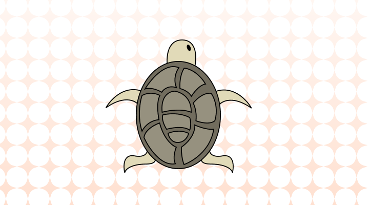 亀英語で(Turtle, Tortoise, Cooter差異と意味)