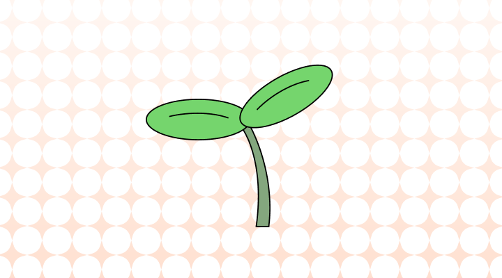 新芽英語で(Sprout, Shoot, Bud, Burgeon差異と意味)